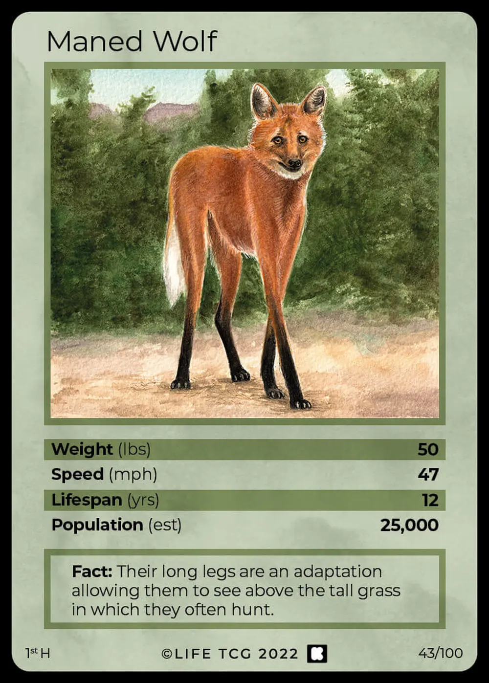 Maned Wolf card front