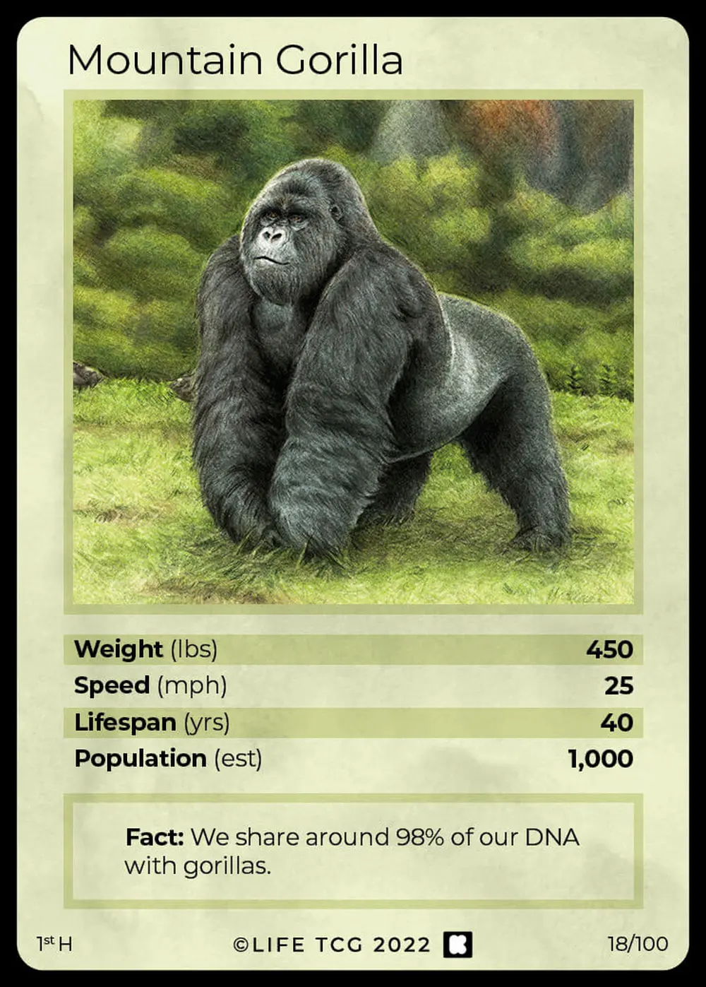 Mountain Gorilla card front