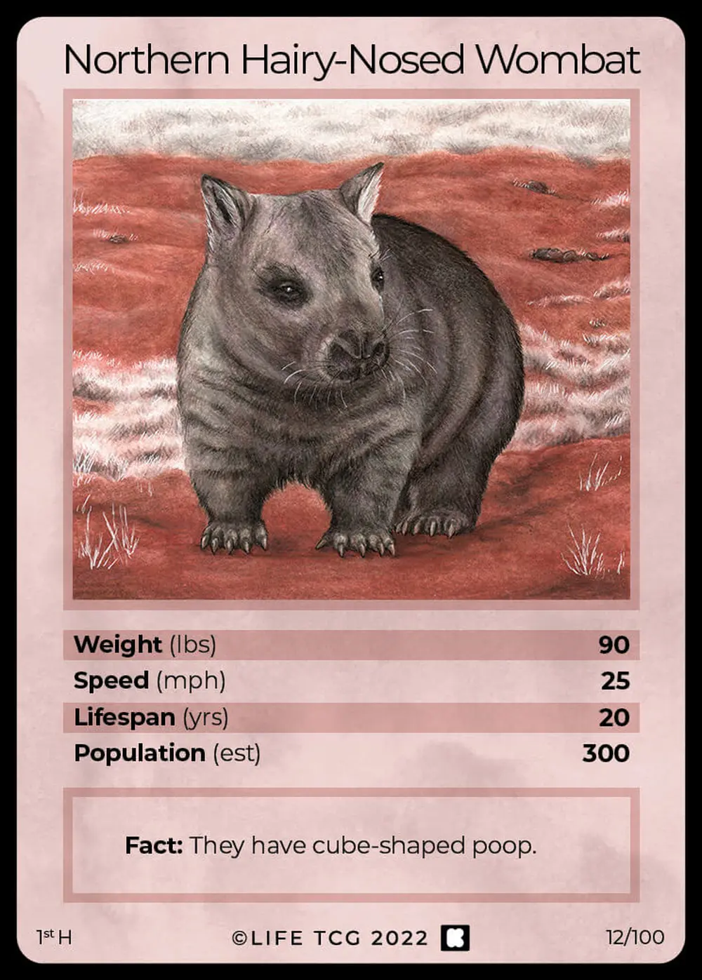 Northern Hairy-Nosed Wombat card front