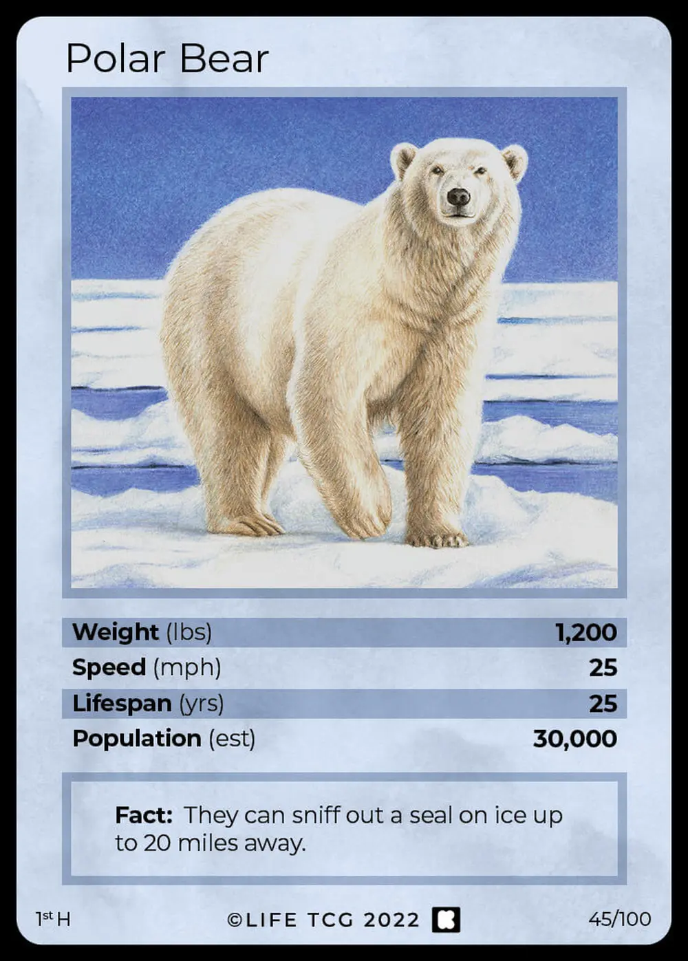 Polar Bear card front
