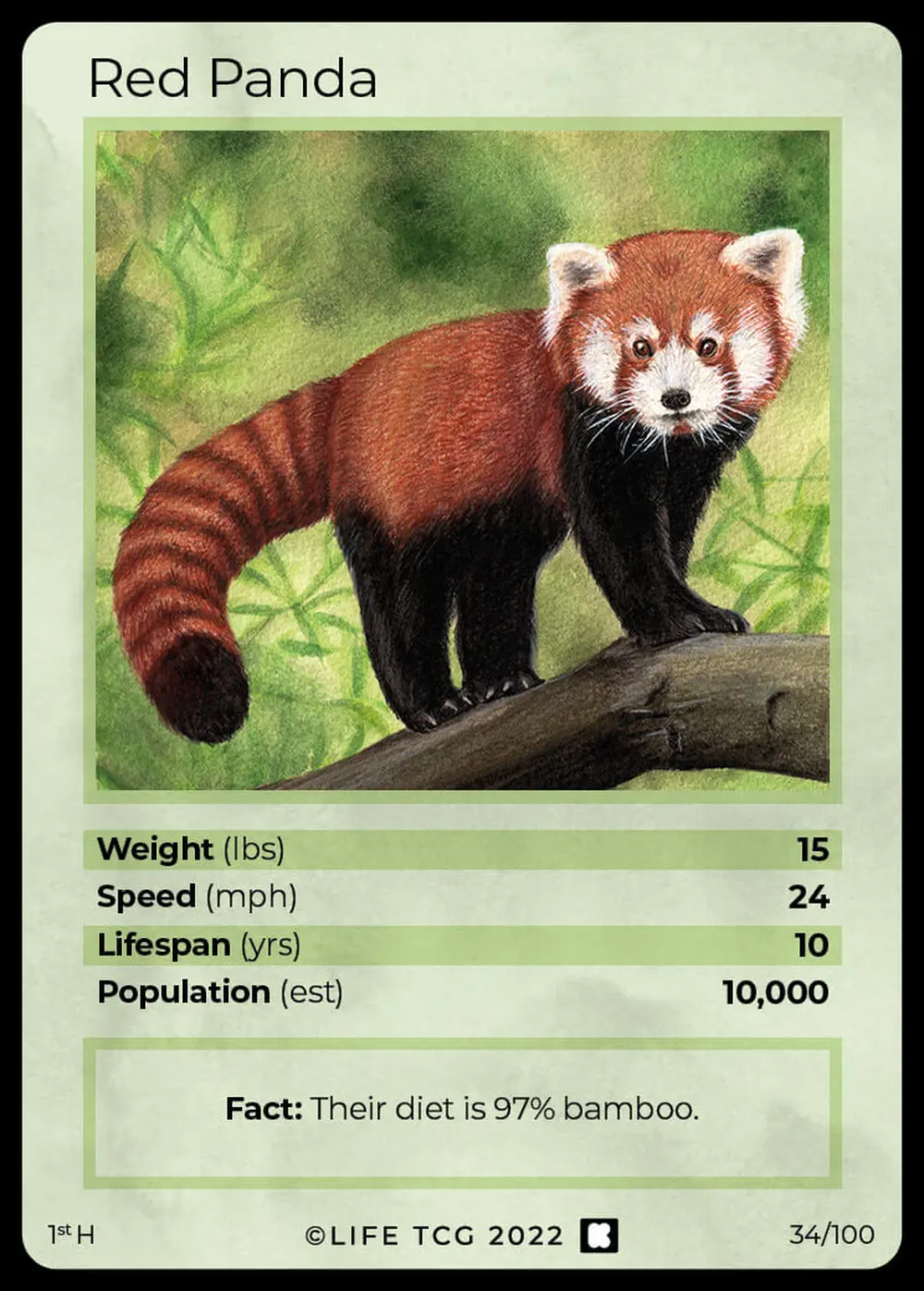 Red Panda card front