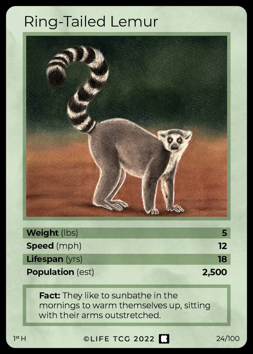 Ring-Tailed Lemur card front