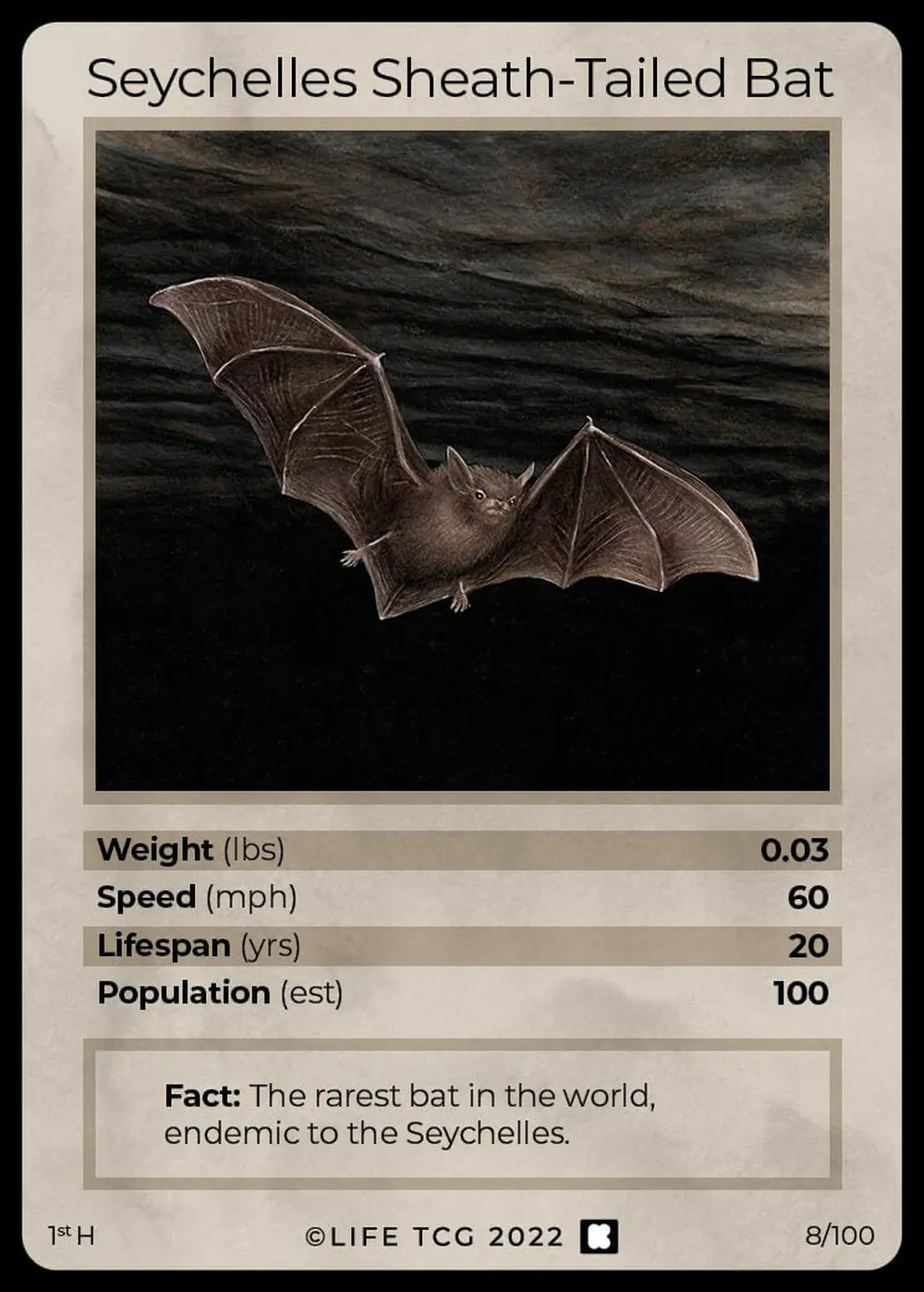 Seychelles Sheath-Tailed Bat card front