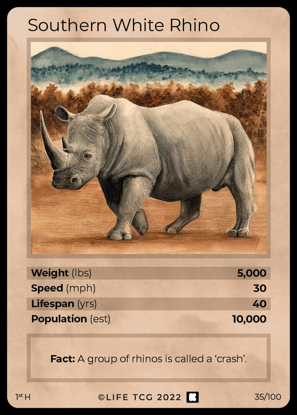 Southern White Rhino card front