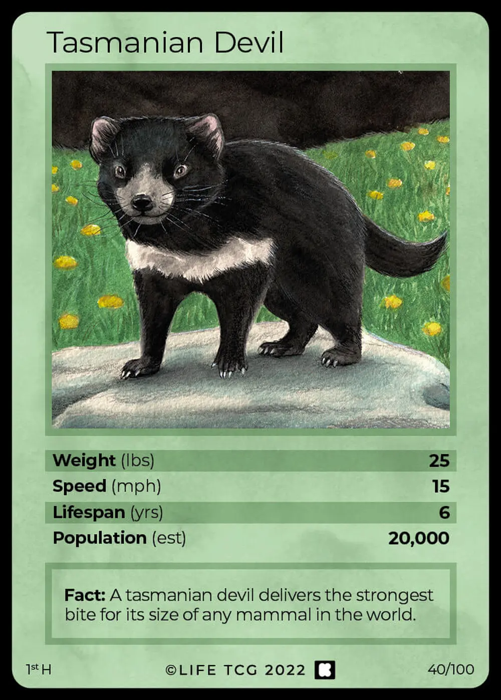 Tasmanian Devil card front
