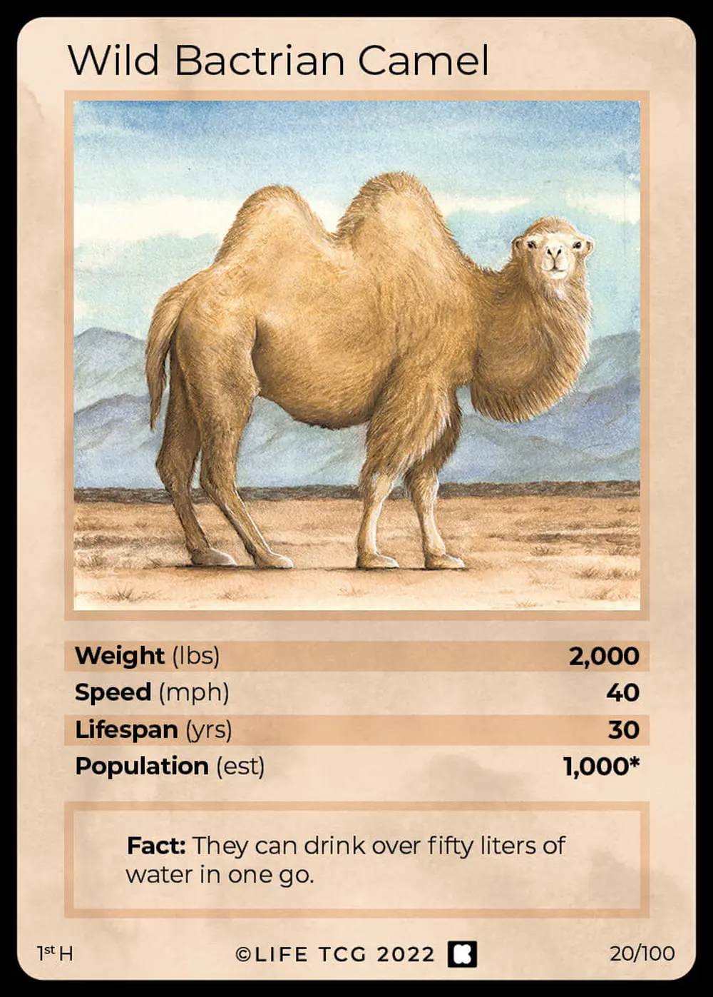 Wild Bactrian Camel card front