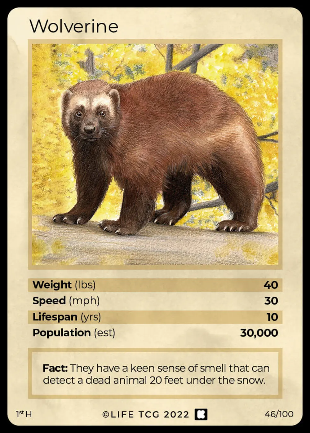 Wolverine card front