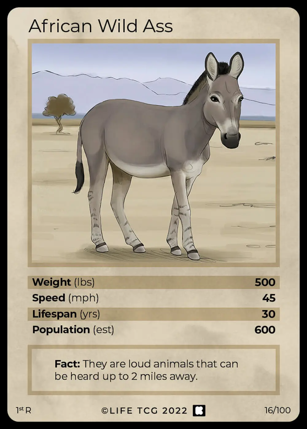 African Wild Ass card front