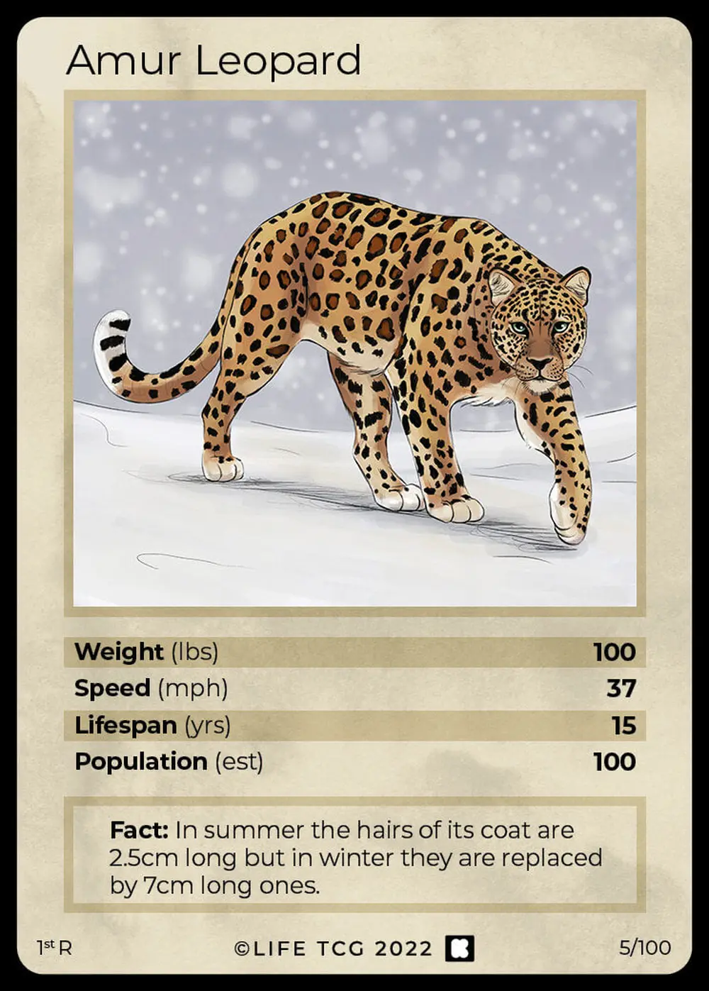 Amur Leopard card front