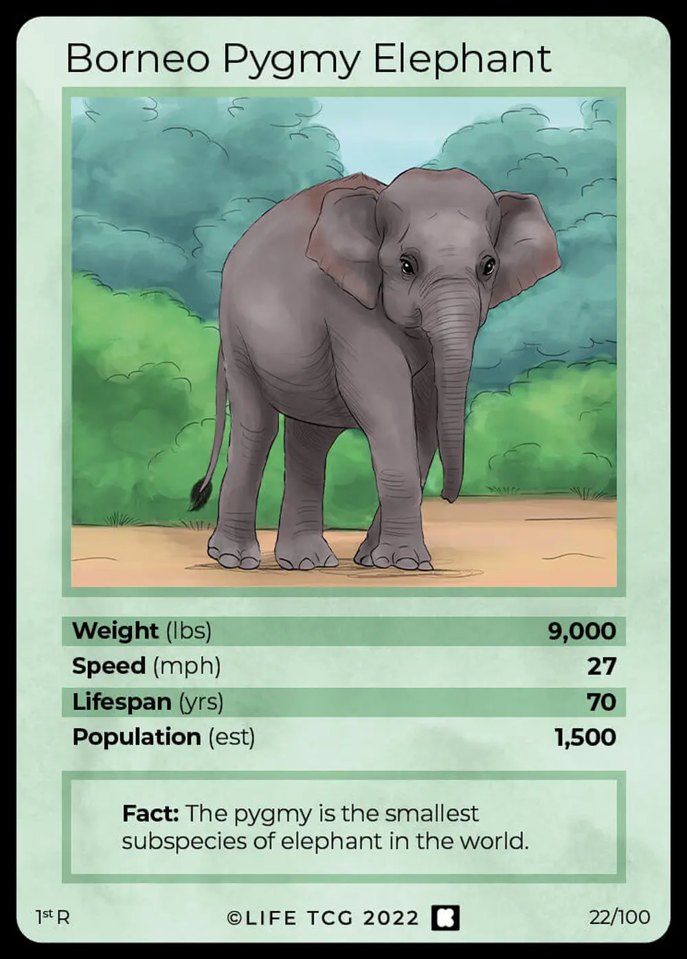 Borneo Pygmy Elephant card front