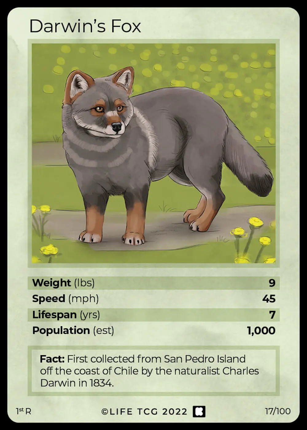 Darwin's Fox card front