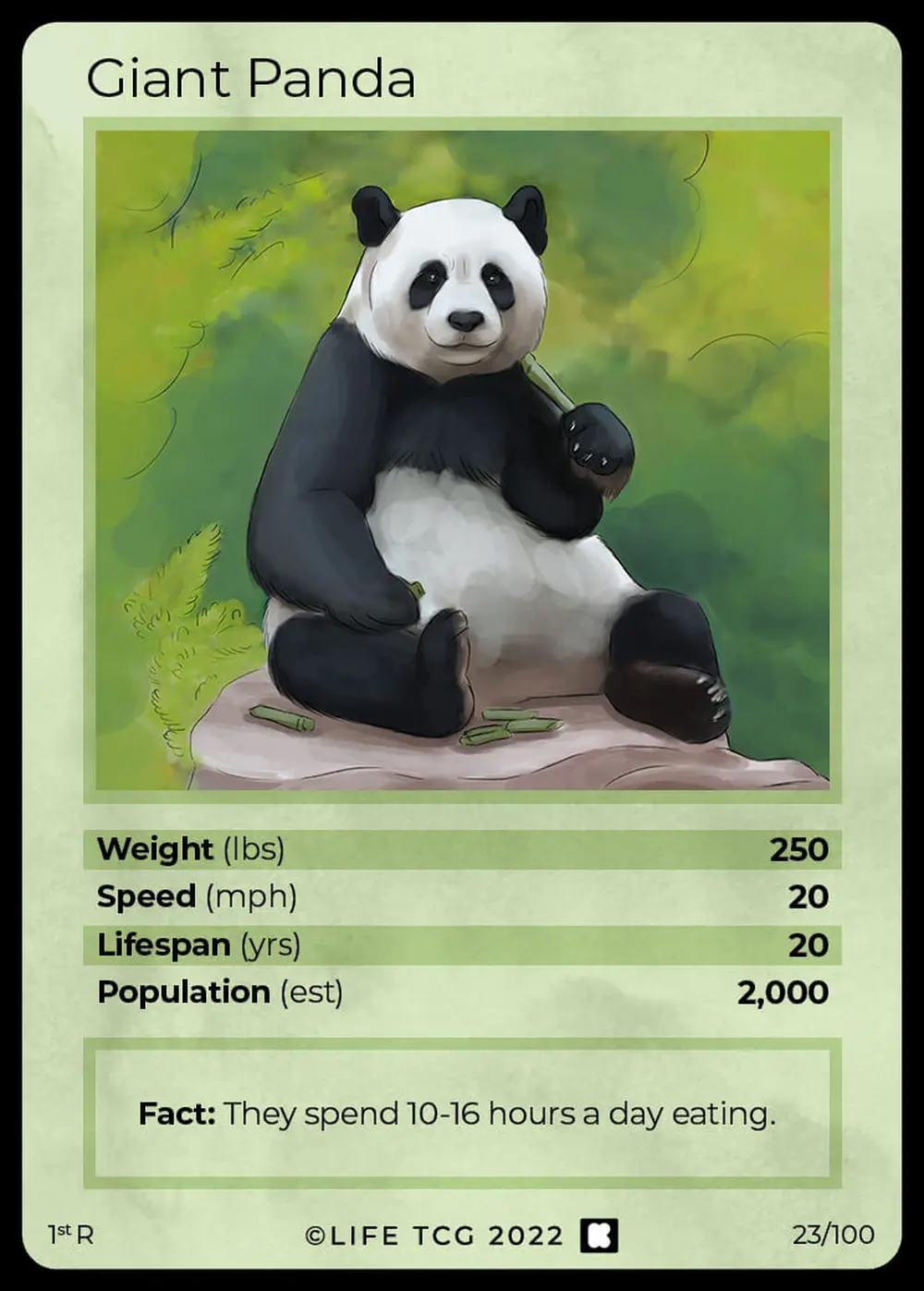 Giant Panda card front