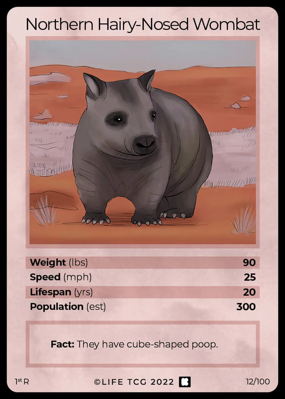 Northern Hairy-Nosed Wombat card front