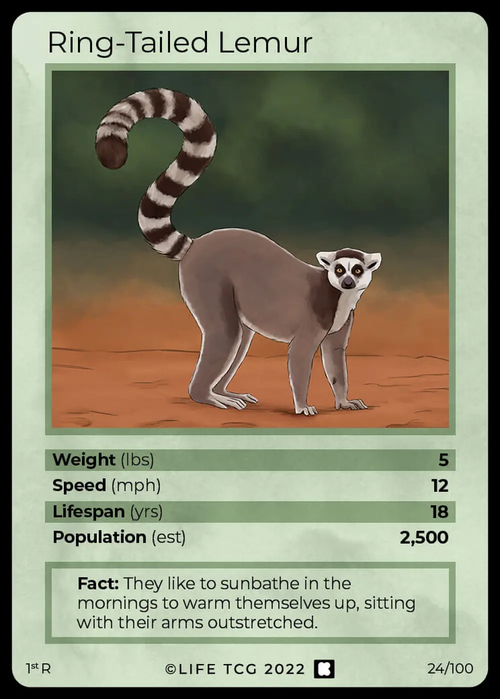 Ring-Tailed Lemur card front
