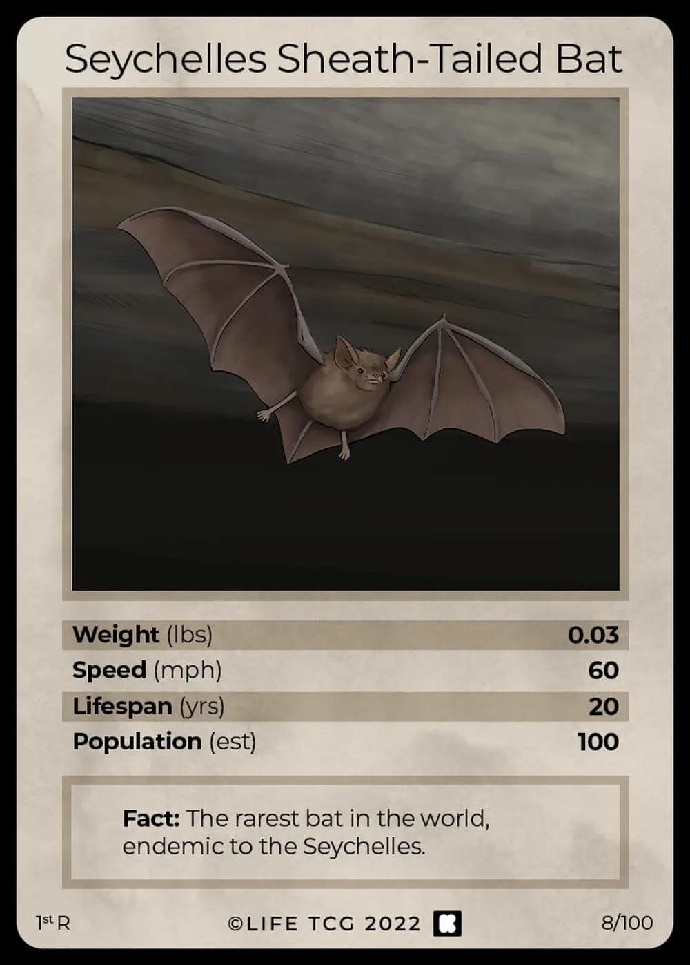 Seychelles Sheath-Tailed Bat card front