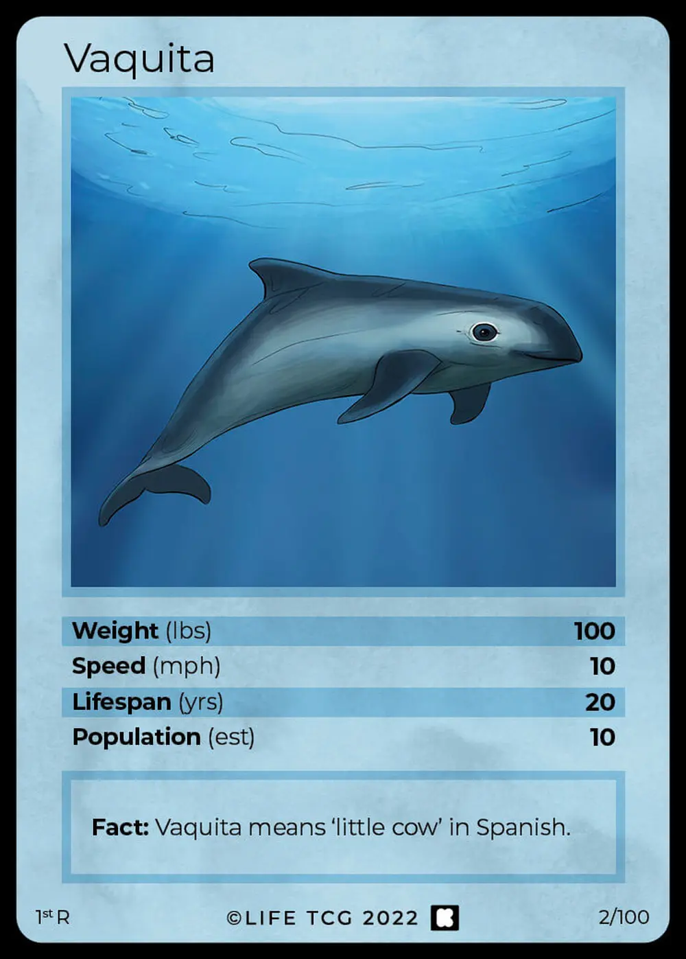 Vaquita card front