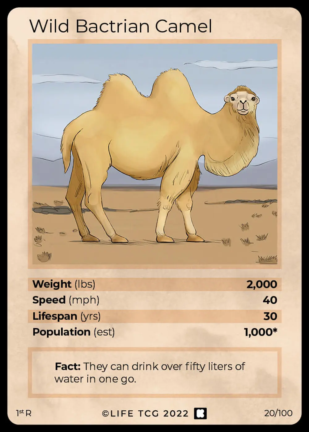 Wild Bactrian Camel card front