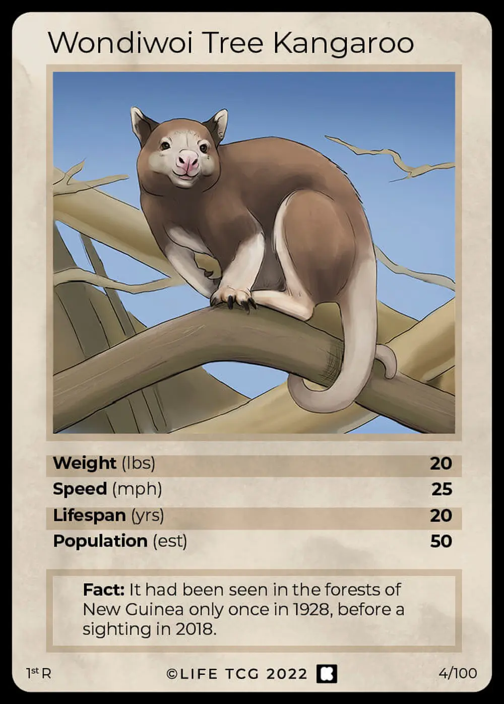 Wondiwoi Tree Kangaroo card front