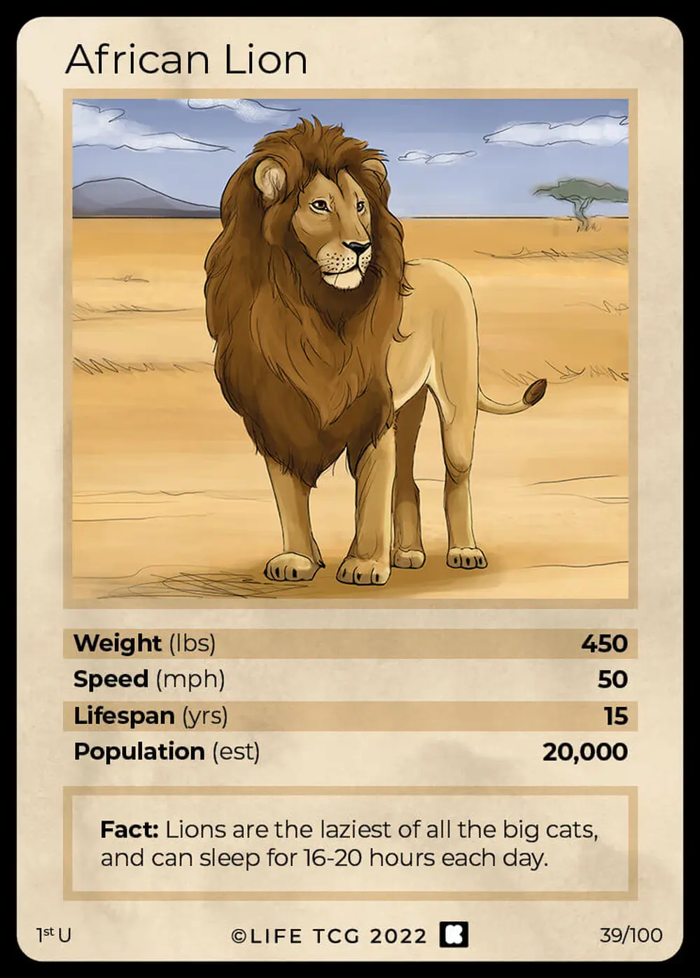 African Lion card front