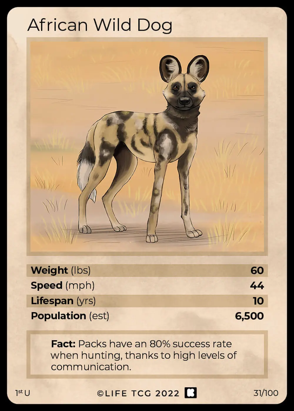 African Wild Dog card front