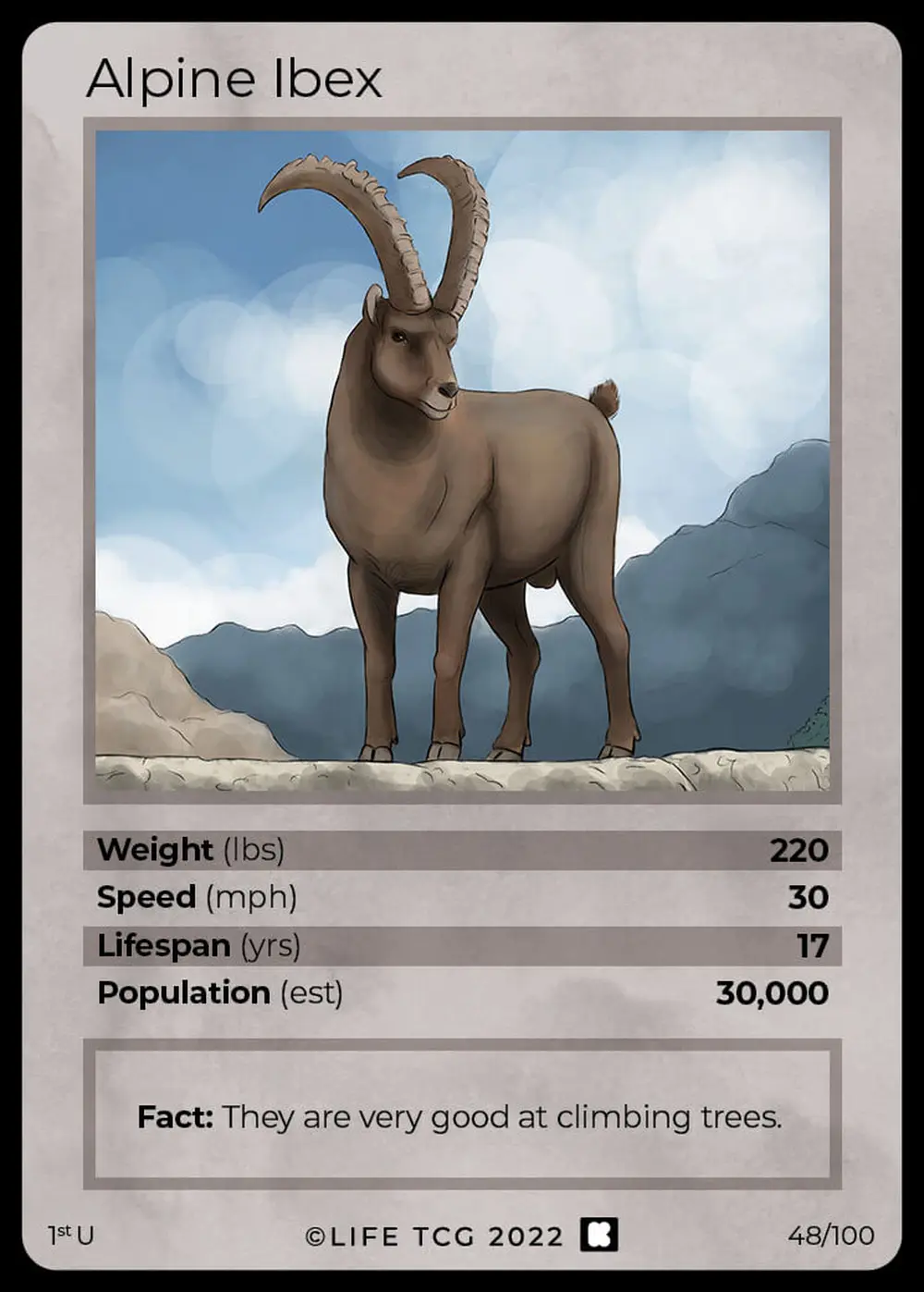 Alpine Ibex card front