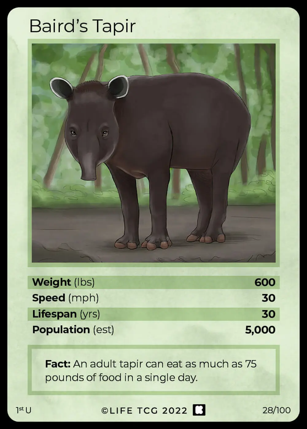 Baird's Tapir card front
