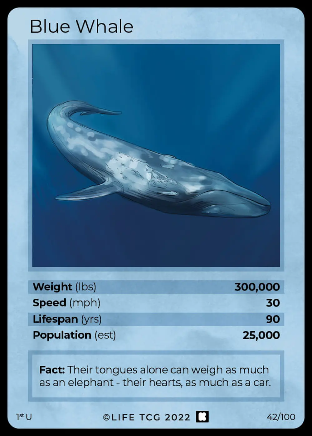 Blue Whale card front