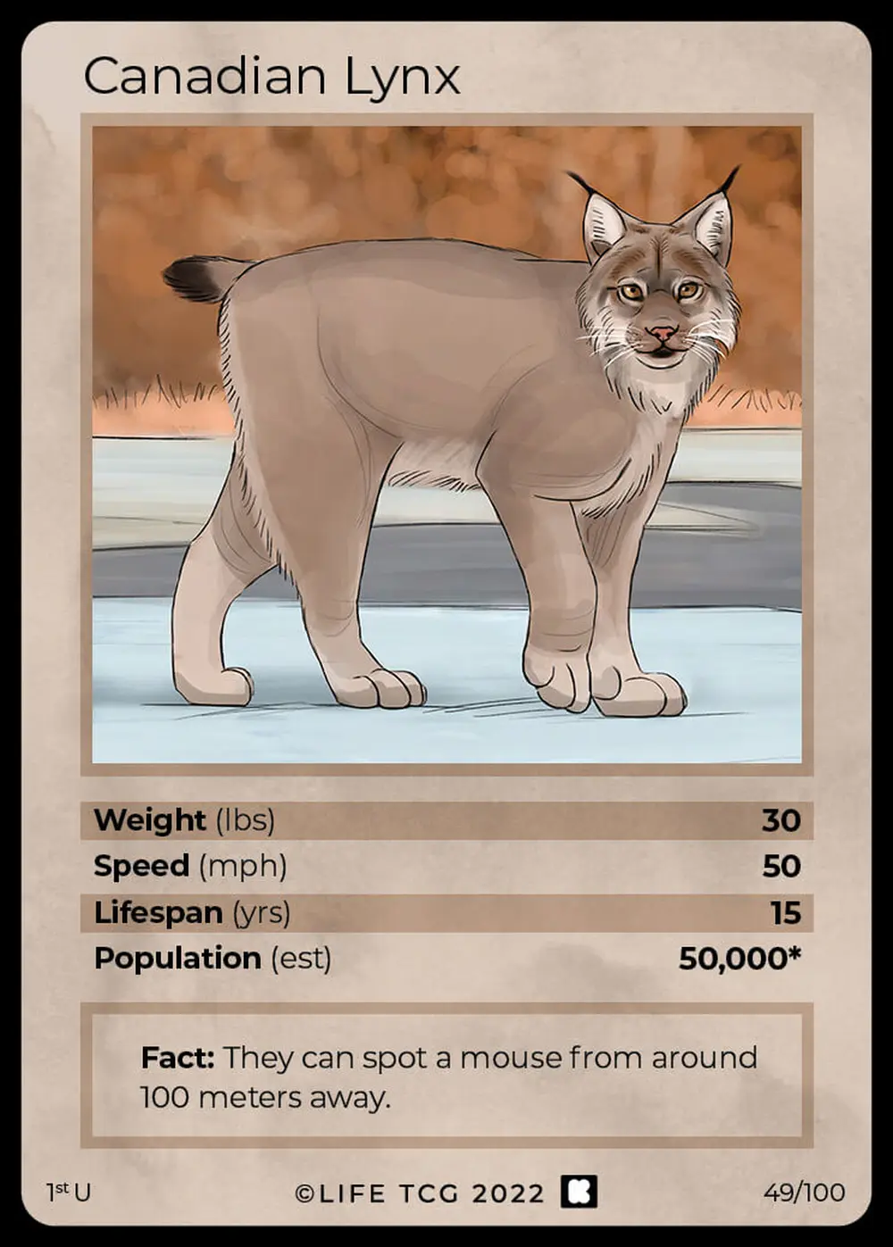 Canadian Lynx card front