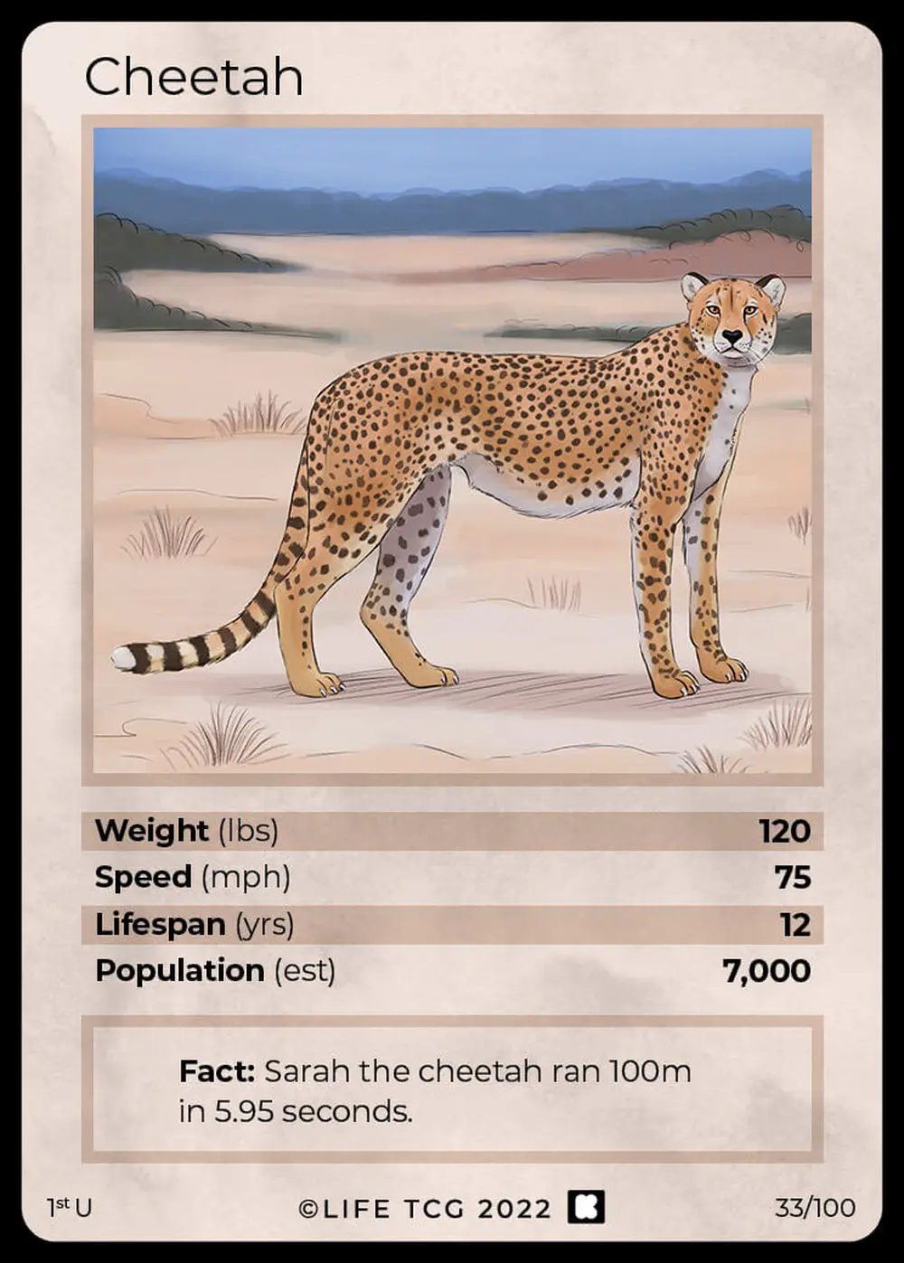 Cheetah card front