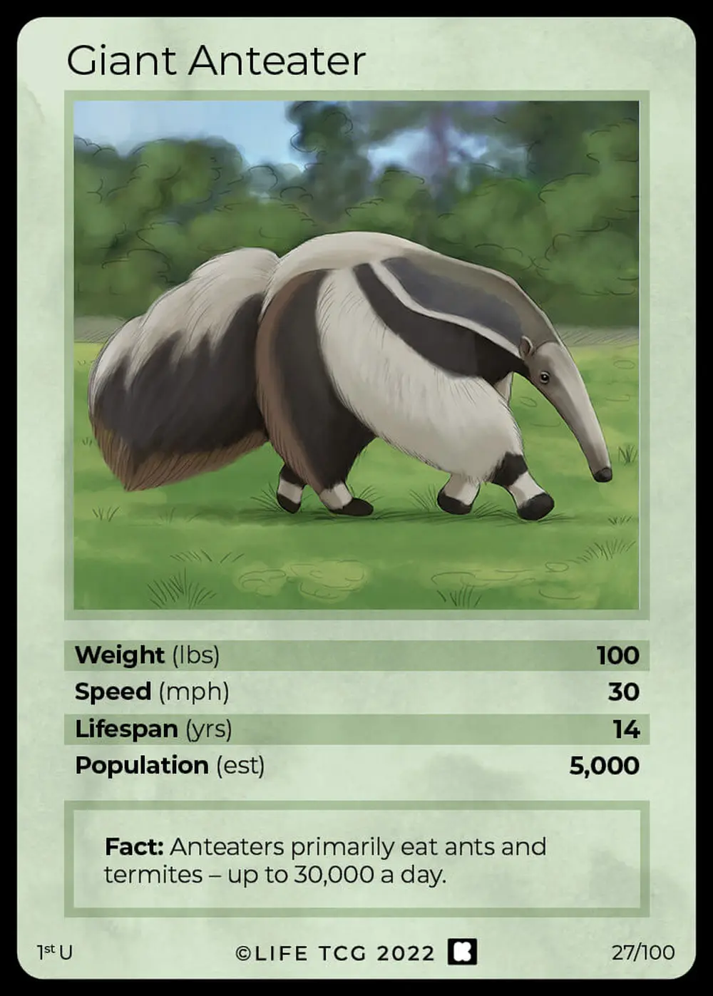 Giant Anteater card front