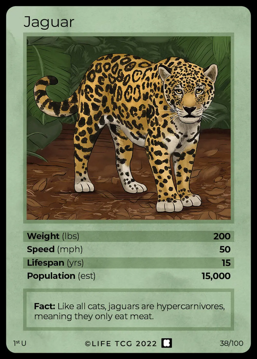 Jaguar card front