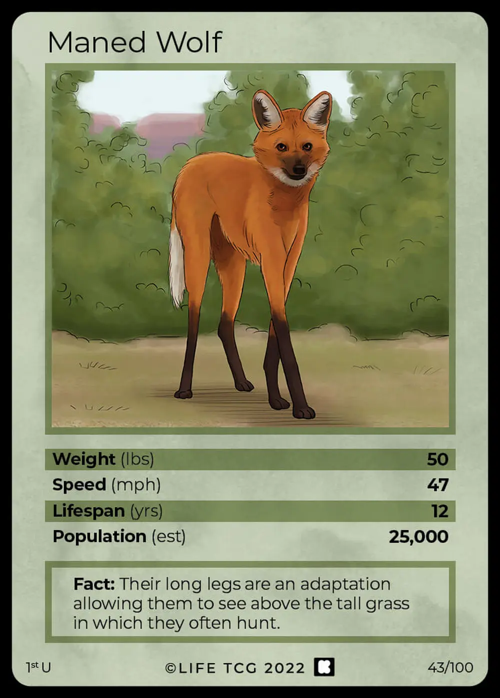 Maned Wolf card front