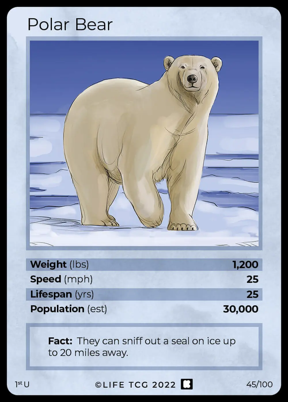 Polar Bear card front
