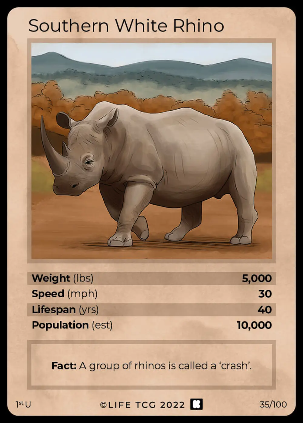 Southern White Rhino card front