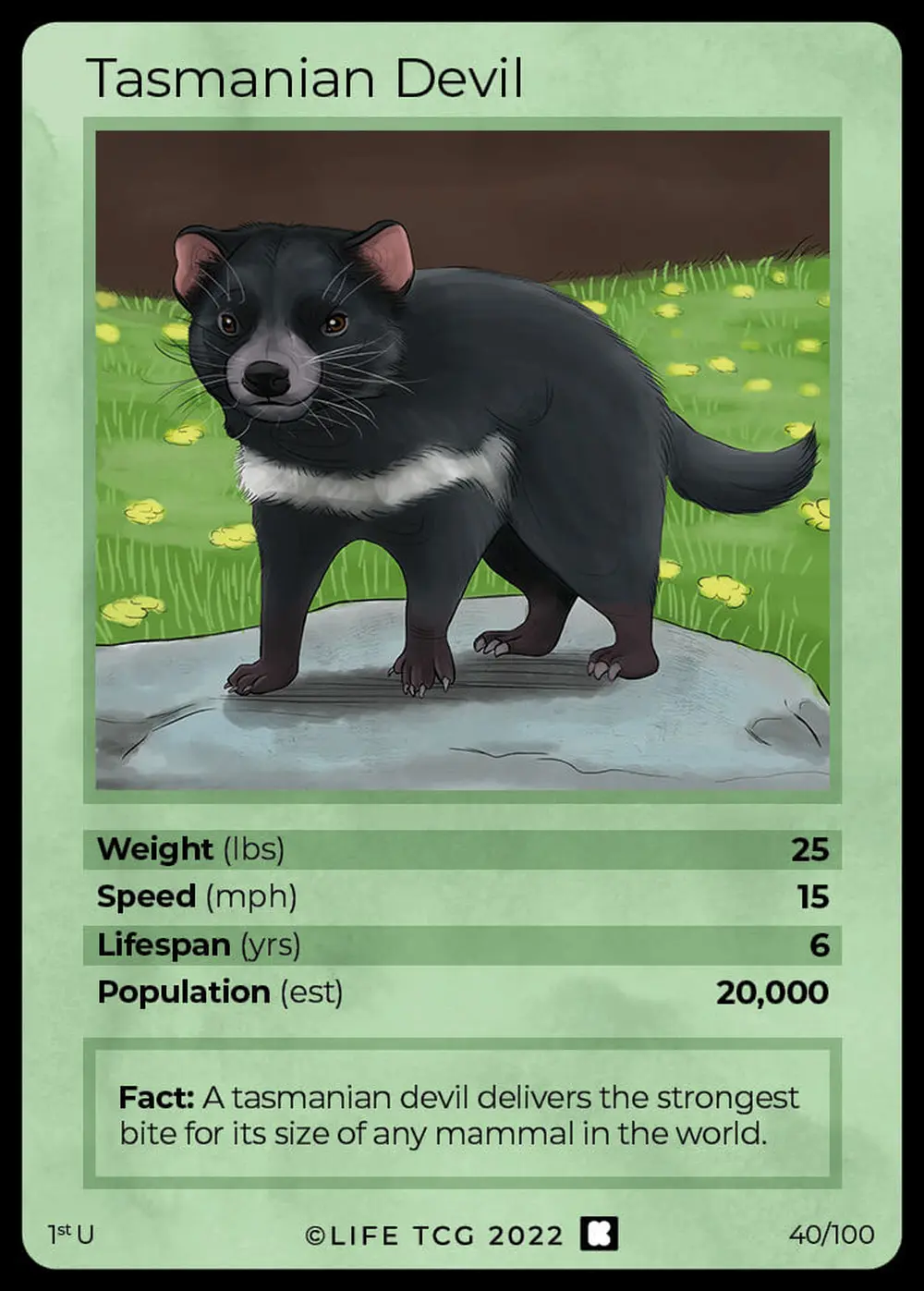 Tasmanian Devil card front