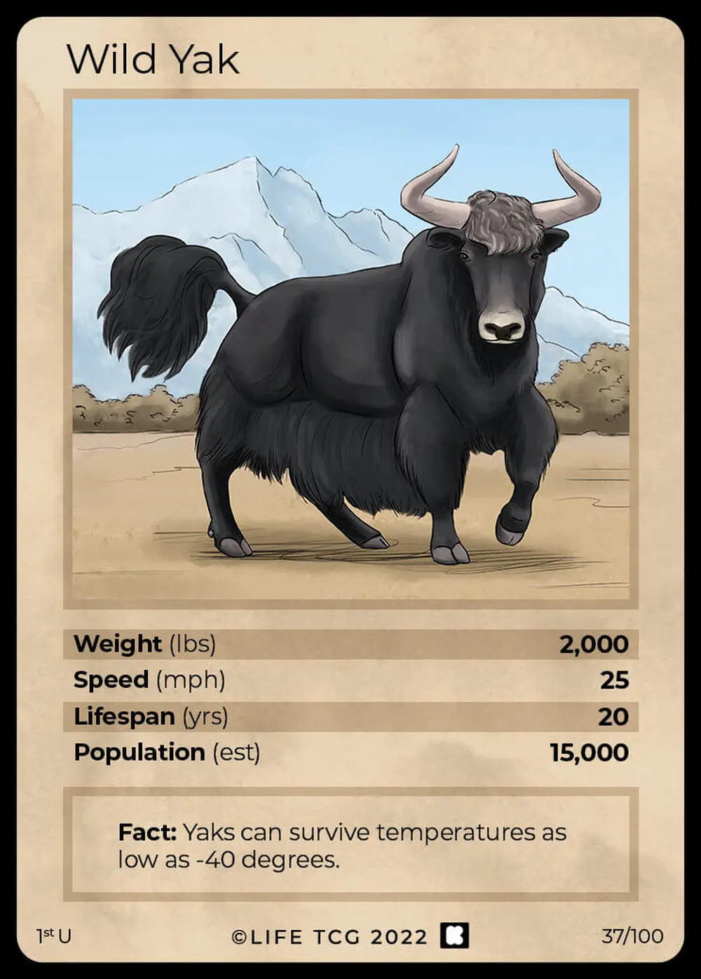 Wild Yak card front