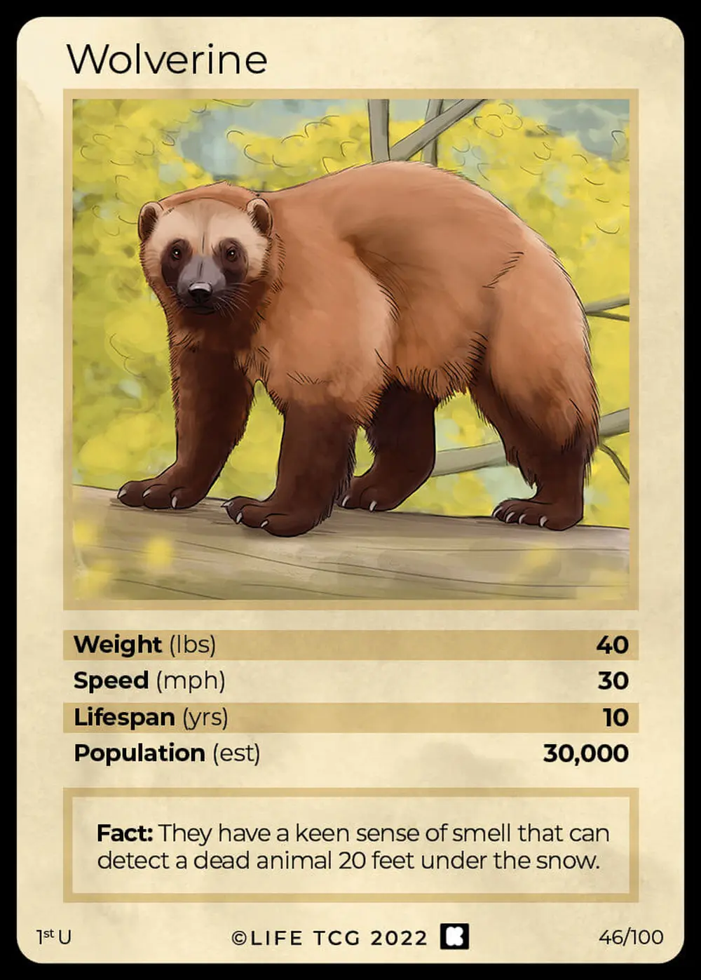 Wolverine card front