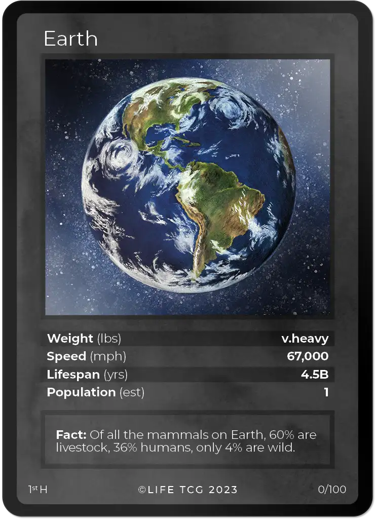 Earth card front