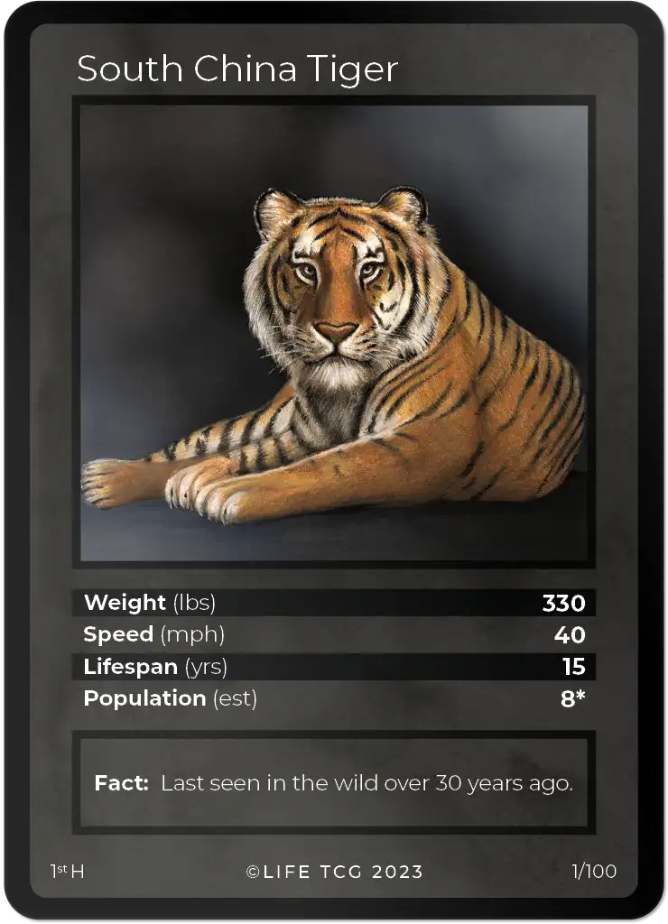 South China Tiger card front