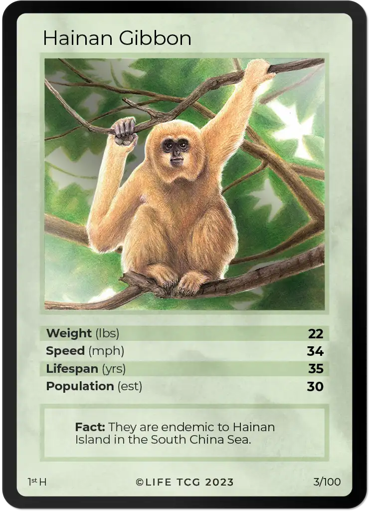 Hainan Gibbon card front
