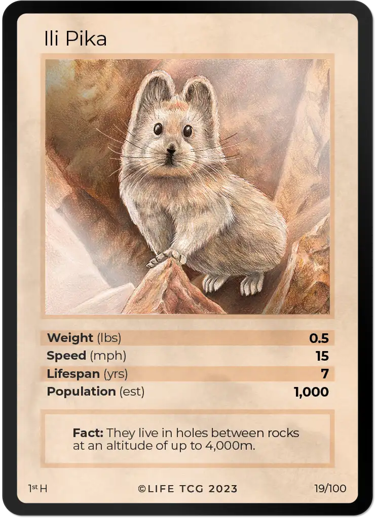 Ili Pika card front