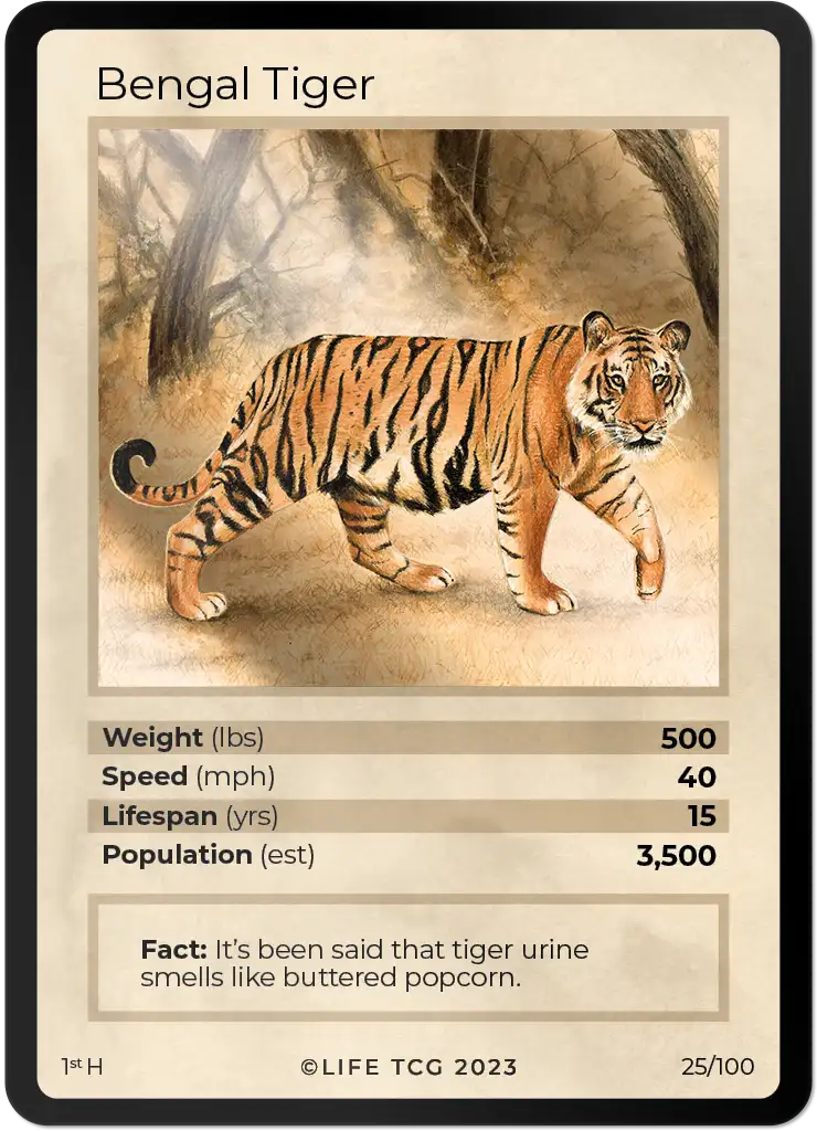 Bengal Tiger card front