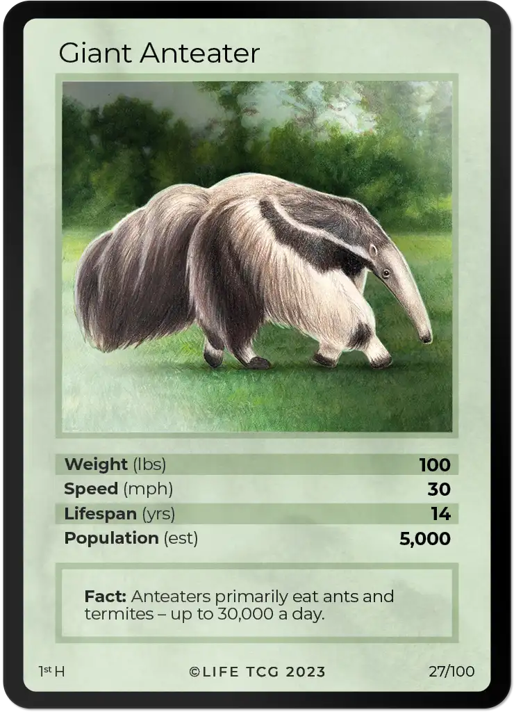 Giant Anteater card front