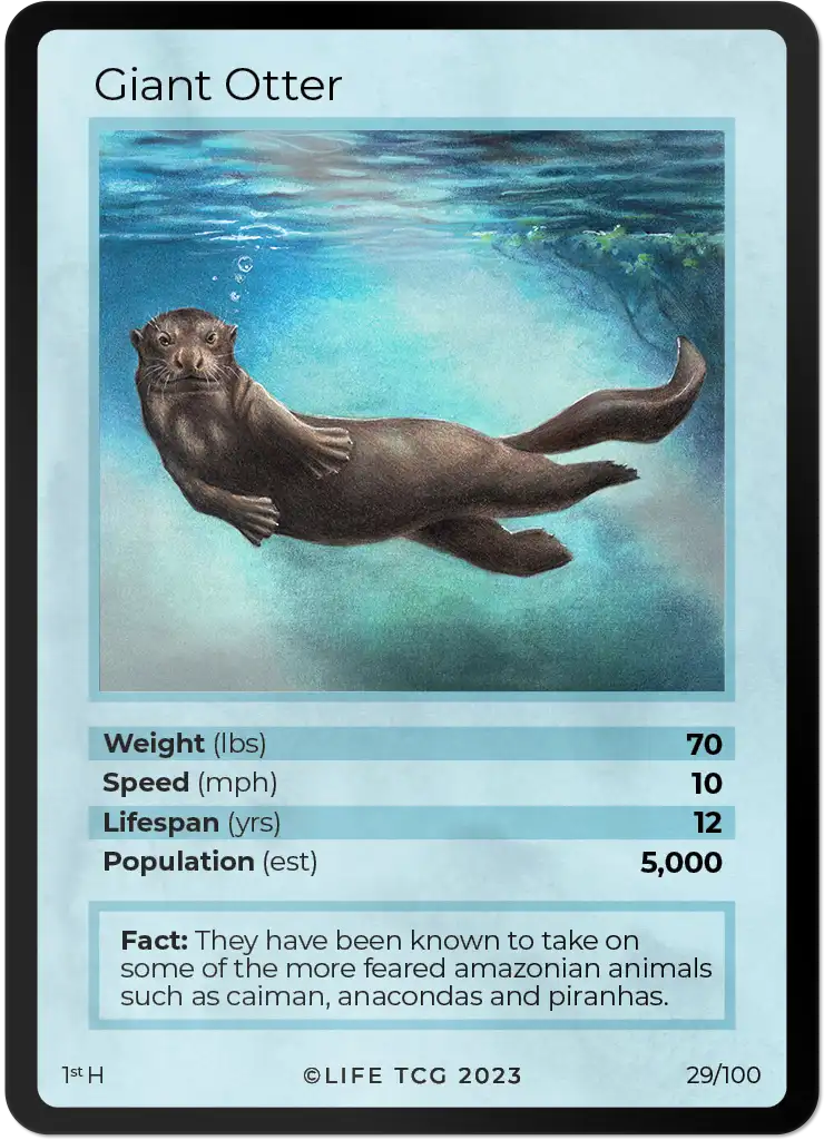 Giant Otter card front