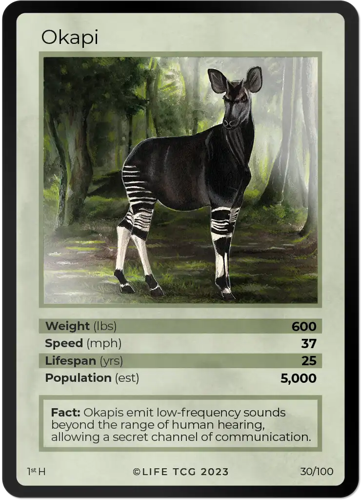 Okapi card front