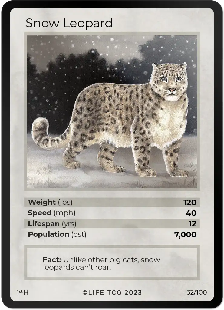 Snow Leopard card front