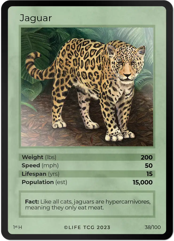 Jaguar card front