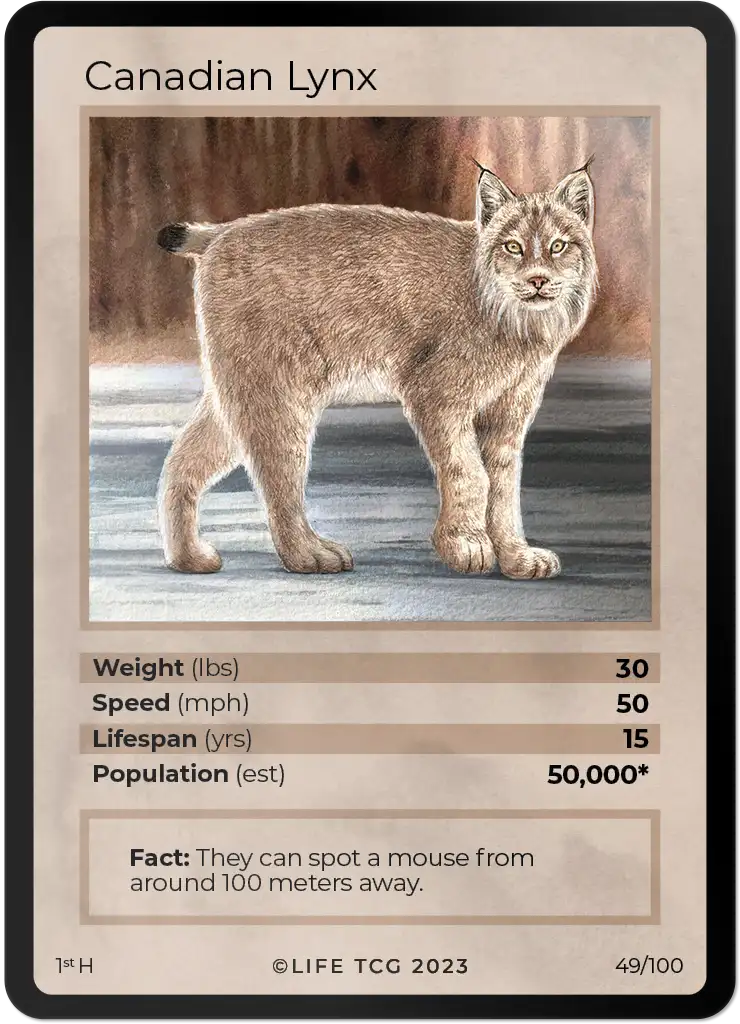 Canadian Lynx card front