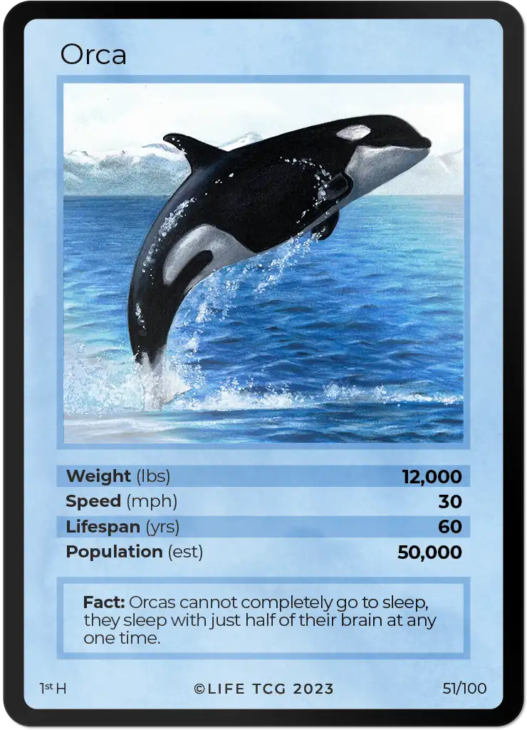 Orca card front
