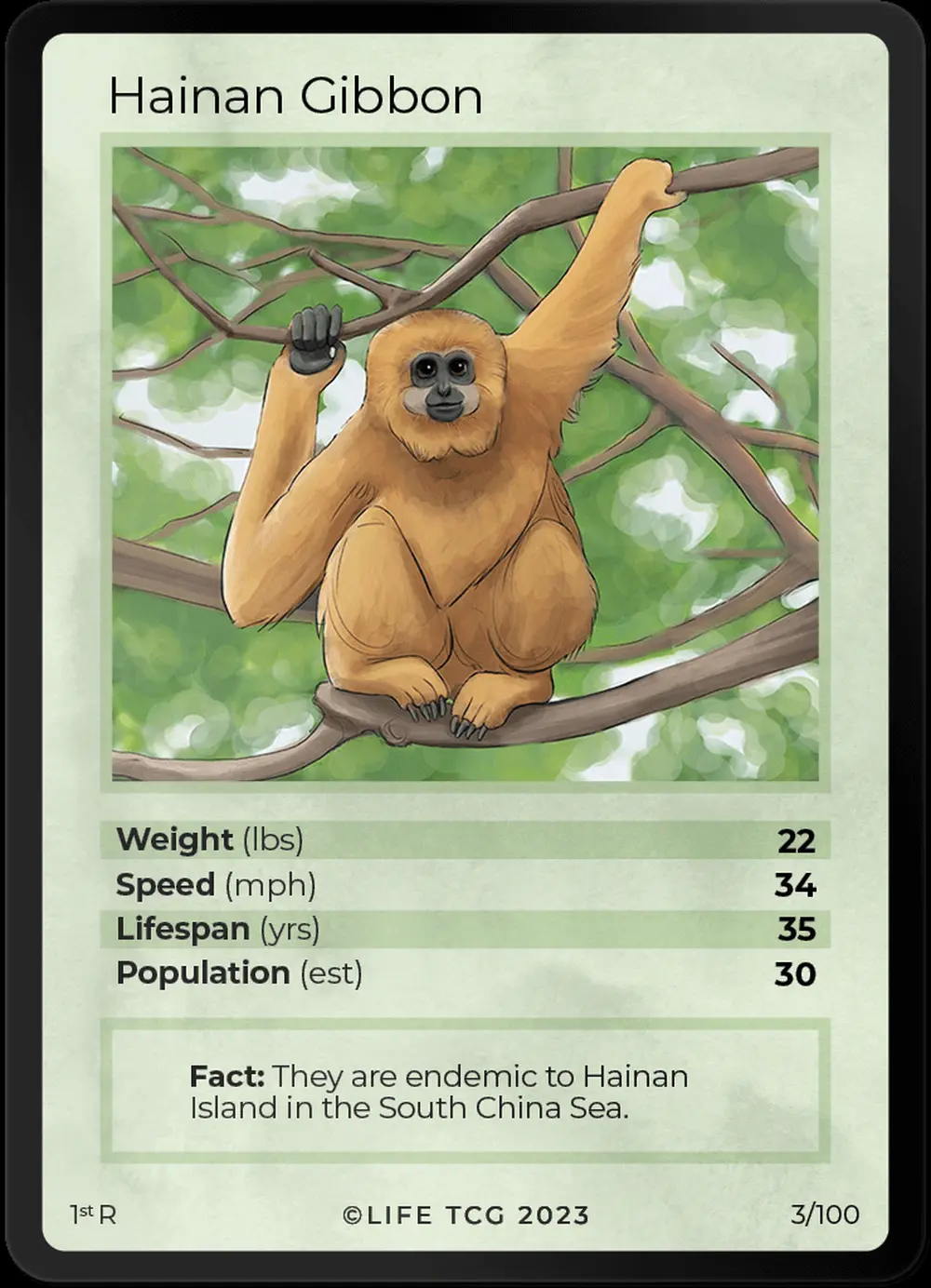 Hainan Gibbon card front